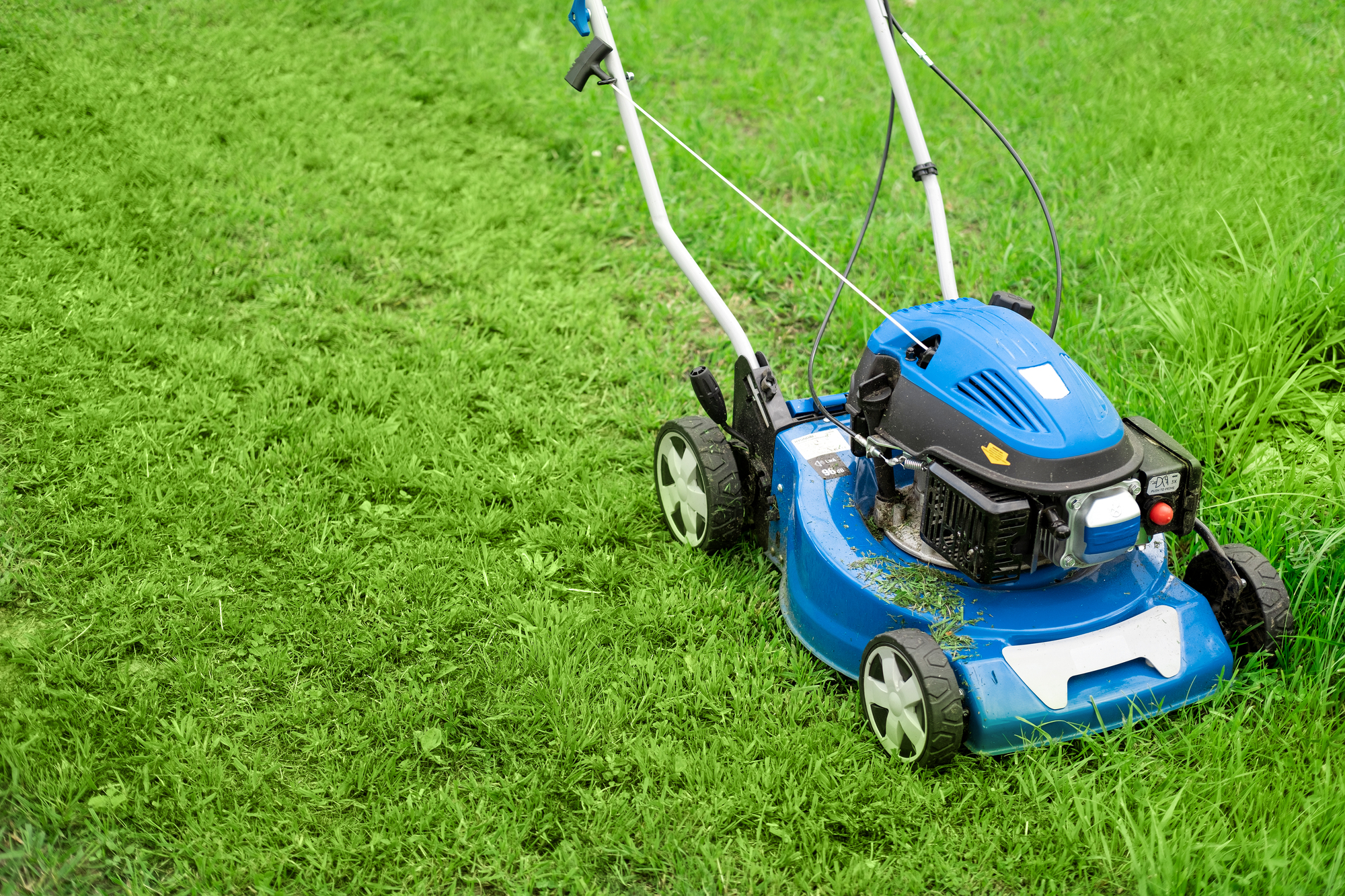 Lawn mower cutting grass. Small grass cuttings fly out of lawnmower. Grass clippings get spewed out of a mower pushed around by landscaper. CloseUp. Gardener working with mower machine. Mowing lawns